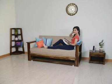 Vesta Sofa Cum Bed