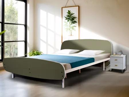 Olivix Queen Size Double Bed