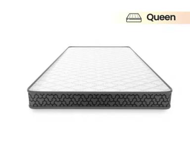 Urban 1BHK Plus Combo