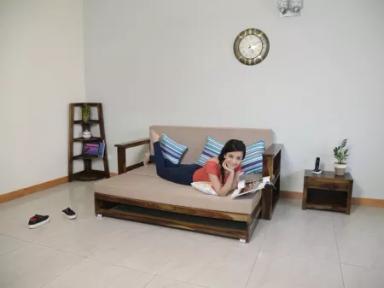 Vesta Sofa Cum Bed
