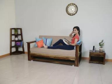 Vesta Sofa Cum Bed
