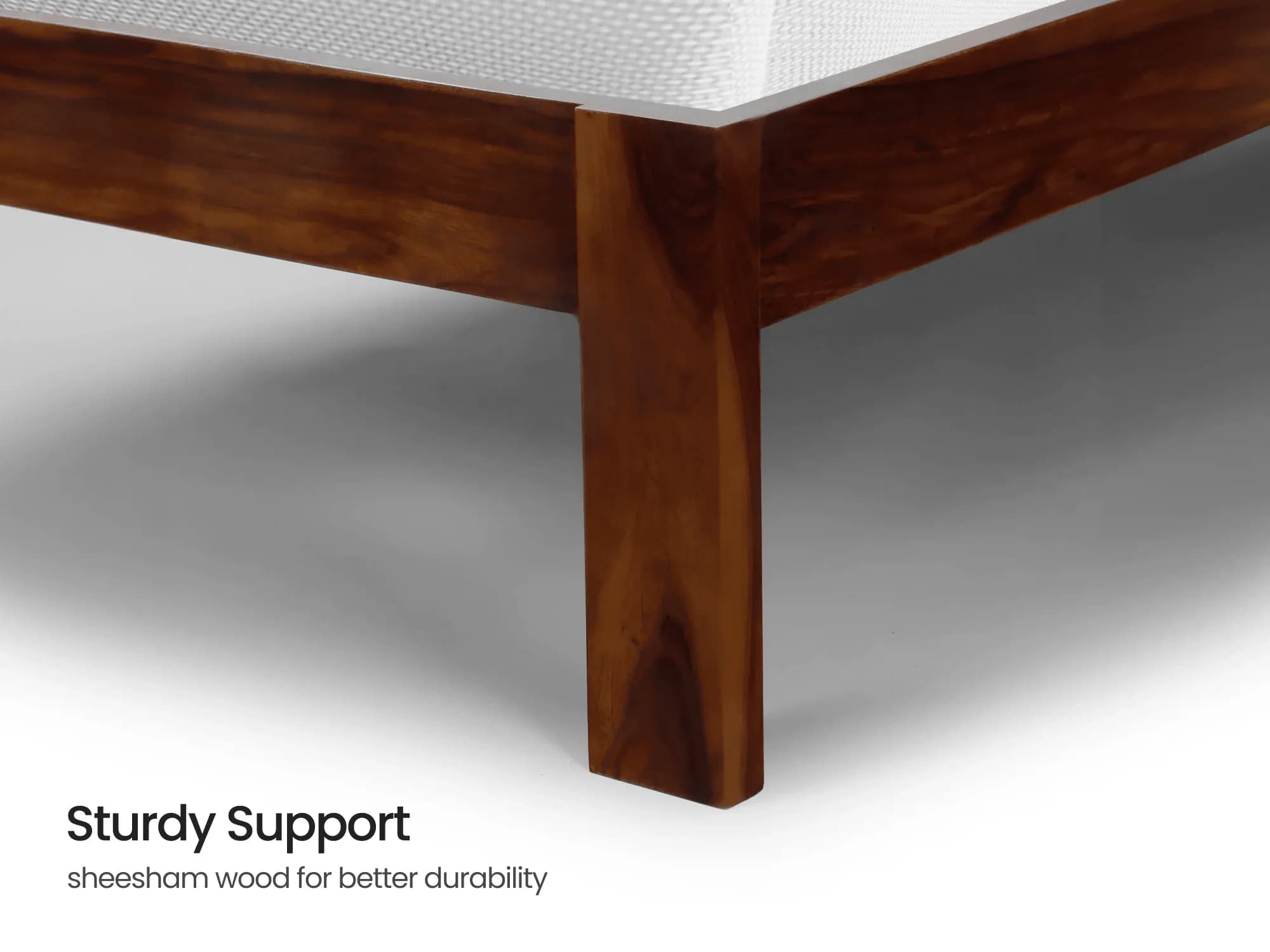 Alexa Studio Essentials Package