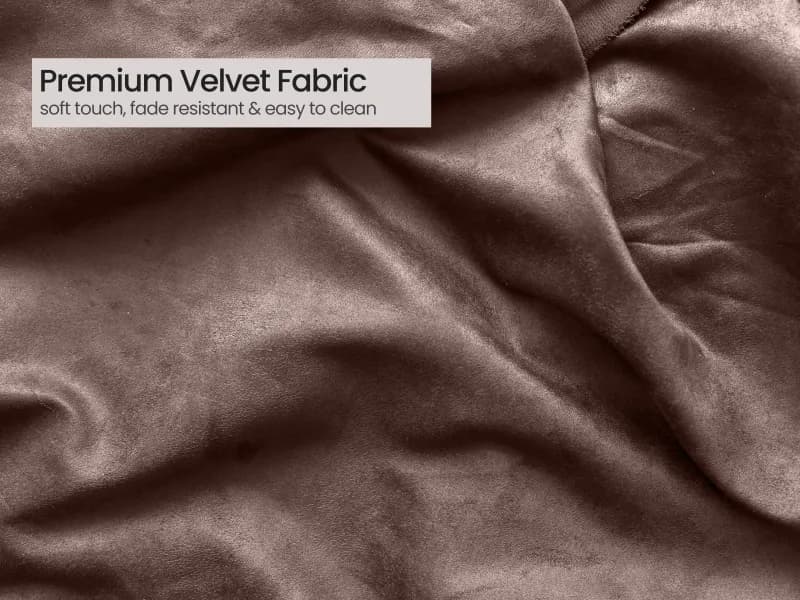 Joey Dining Chair in Brown Color