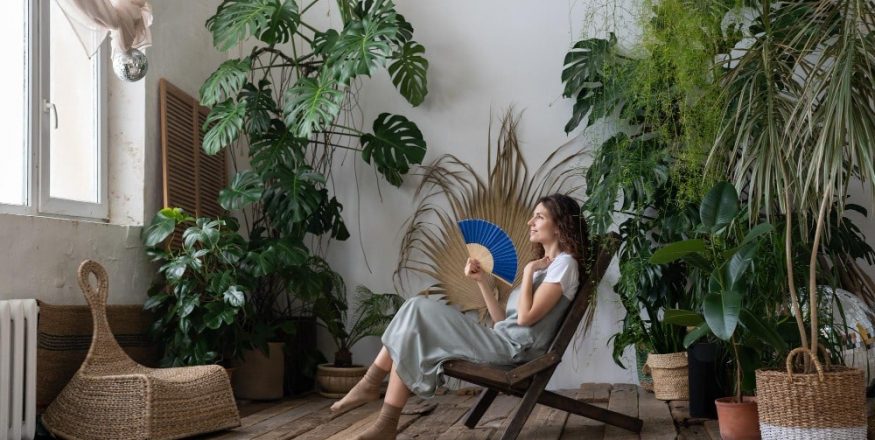 big indoor house plants