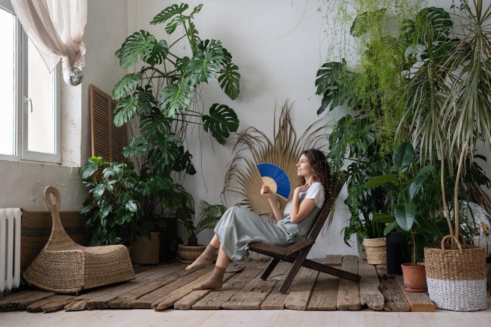 big indoor house plants