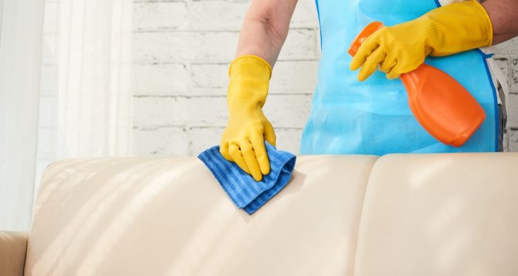 sofa cleaning and care tips