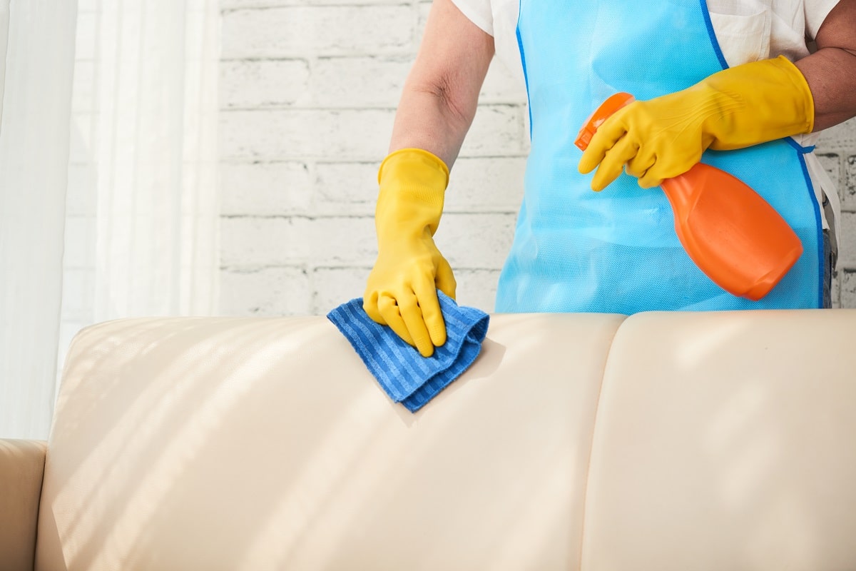 sofa cleaning and care tips