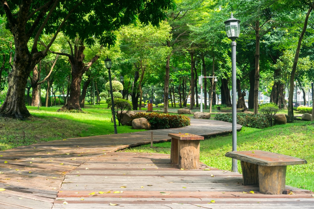 park with wooden benches