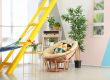 indoor plants home care