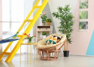 indoor plants home care