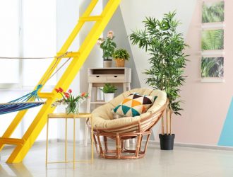 indoor plants home care