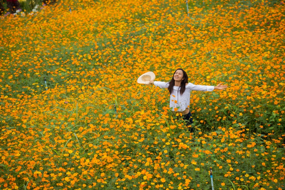 woman in a flower field