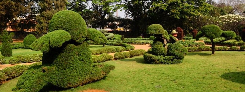 Hyderabad-Botanical-Gardens
