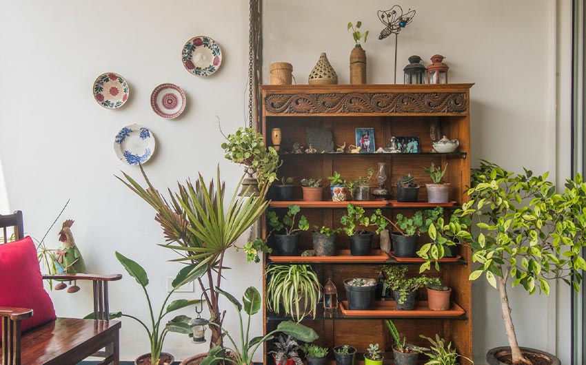 balcony decoration with vertical garden