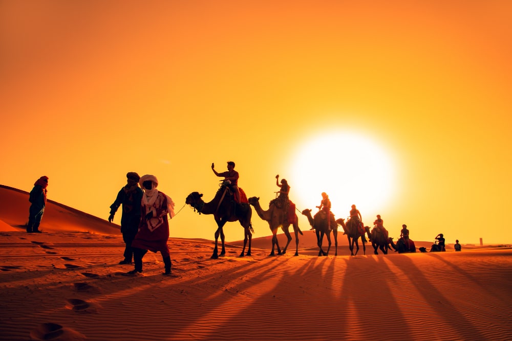 camel safari in Thar- places to travel in India