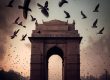 moving to Delhi