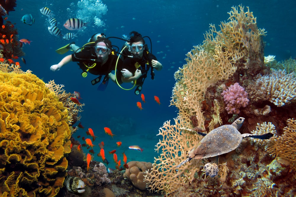 scuba diving in Andaman Nicobar- Places to travel in India
