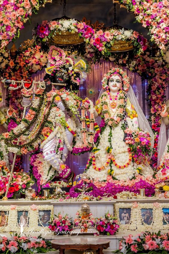 Janmashtami Celebration- ISKCON Temple Krishna 