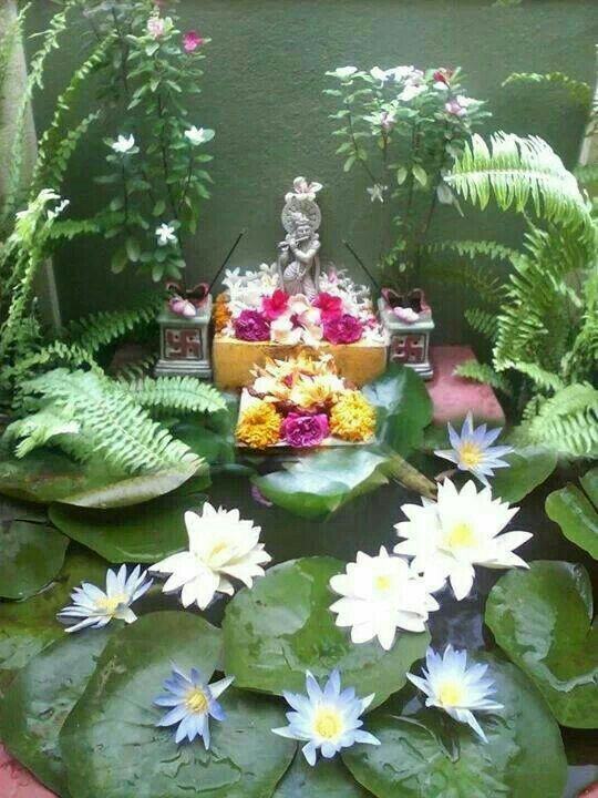 plant in pooja room decor