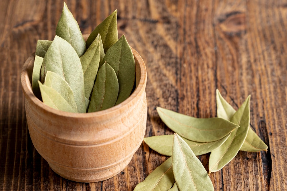 bay leaves 