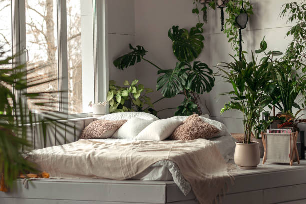 sustainability in home decor- indoor plants