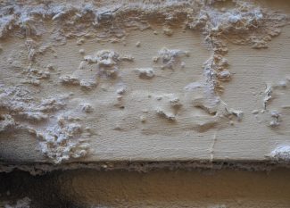 wall dampness