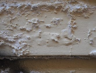 wall dampness