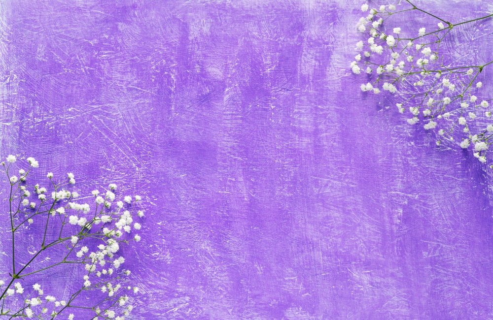 Lavender Bliss wall
