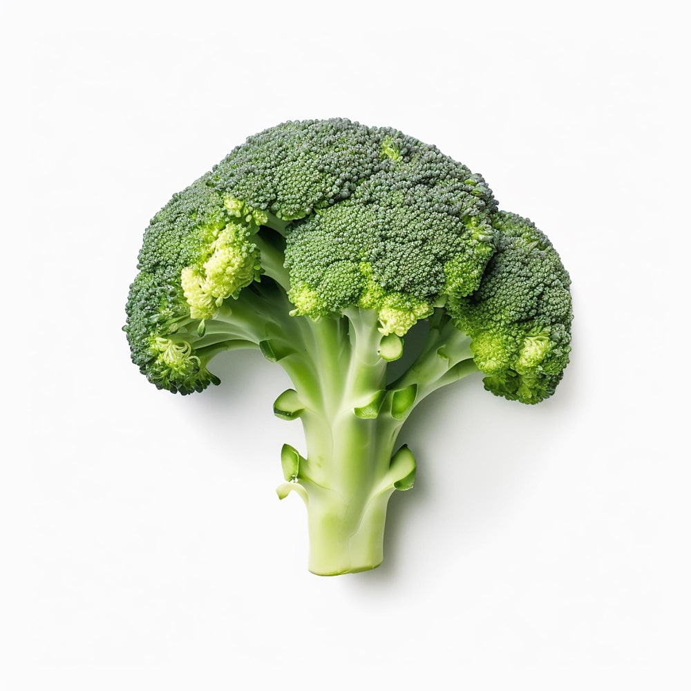 broccoli- plant protein  