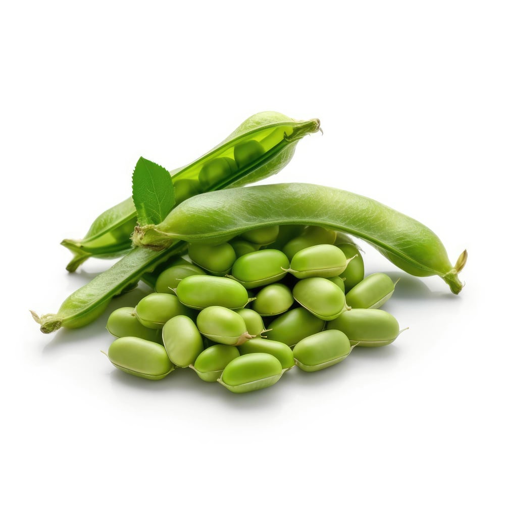 edamame beans- plant protein 